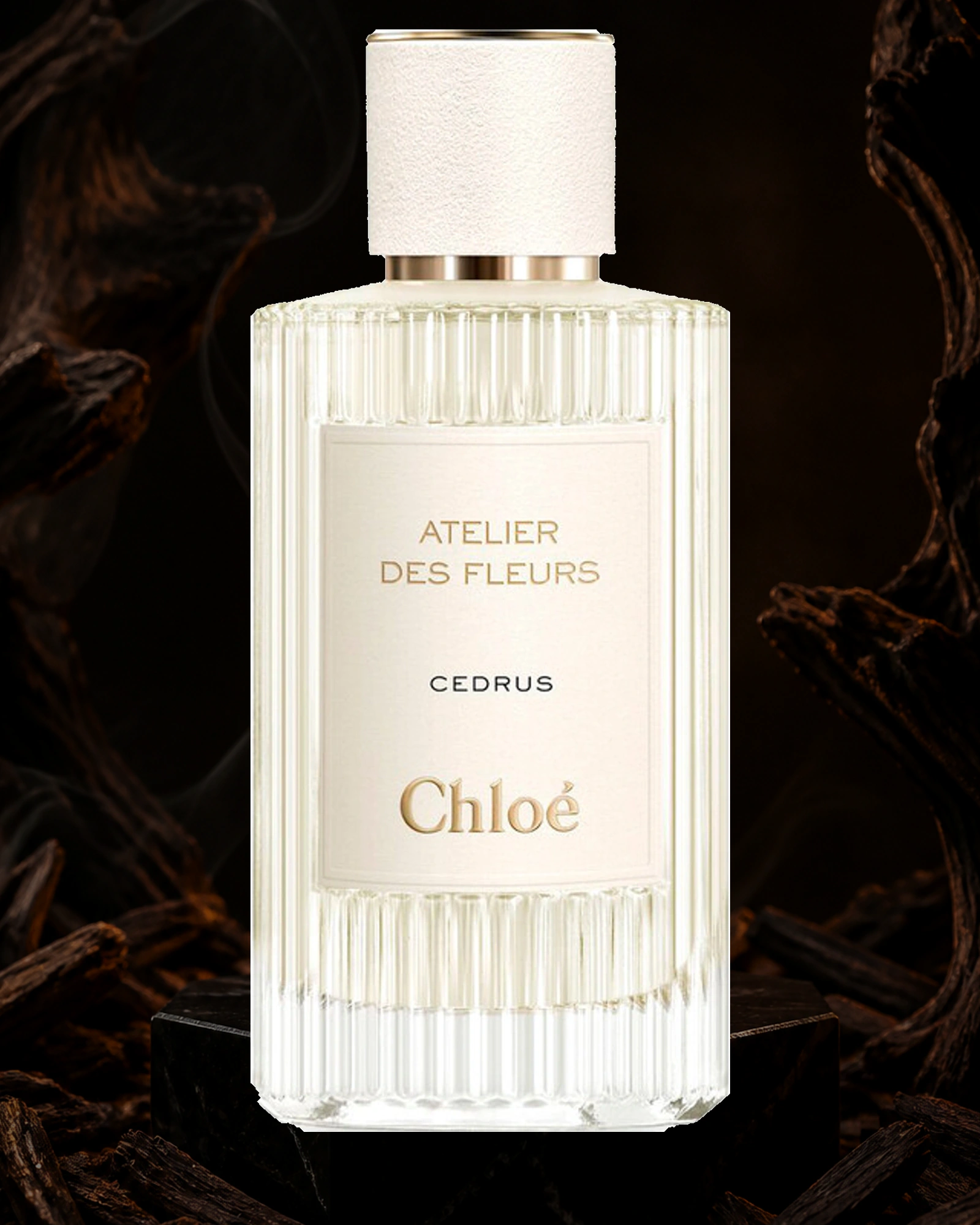 Cedrus