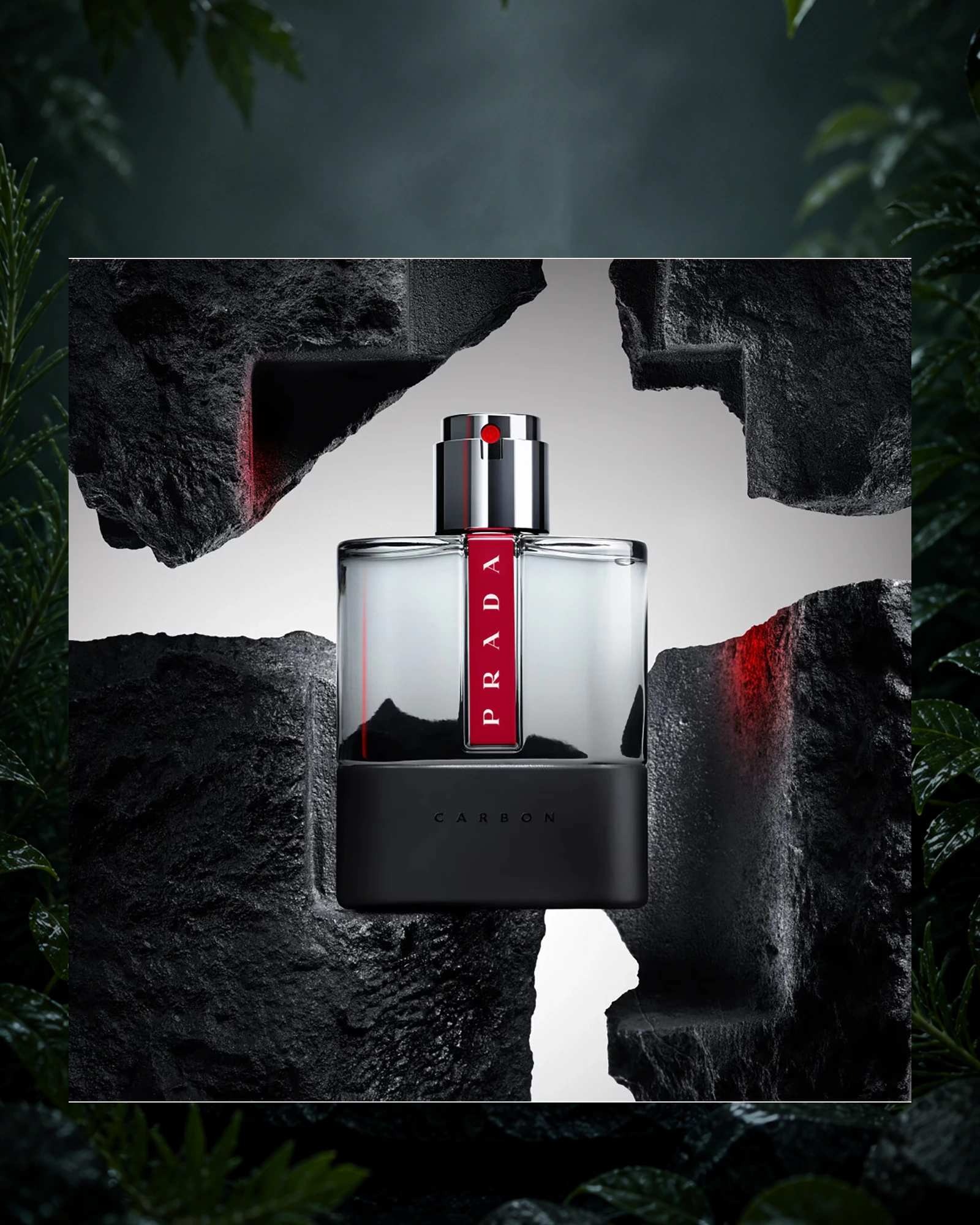 Carbon EDT